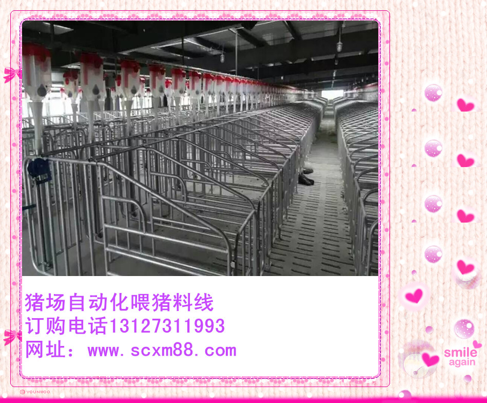 豬場(chǎng)設(shè)備自動(dòng)化上料喂豬設(shè)備