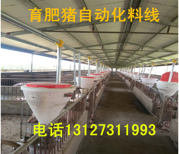 自動化下料喂豬設備/系統(tǒng)
