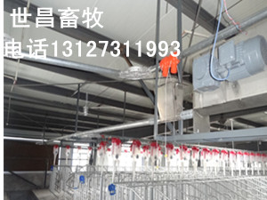 自動化料線專業(yè)設(shè)計