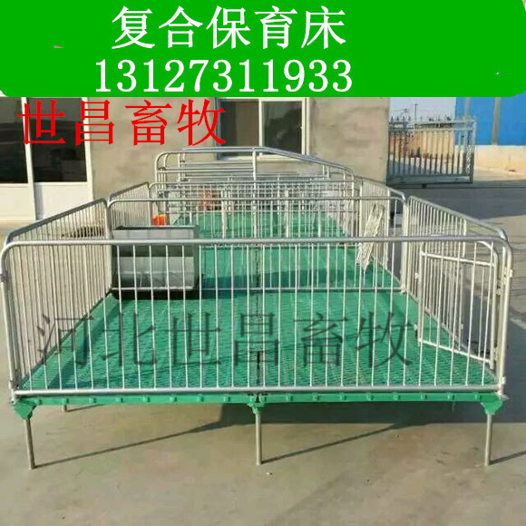 保育床價(jià)位世昌畜牧2019