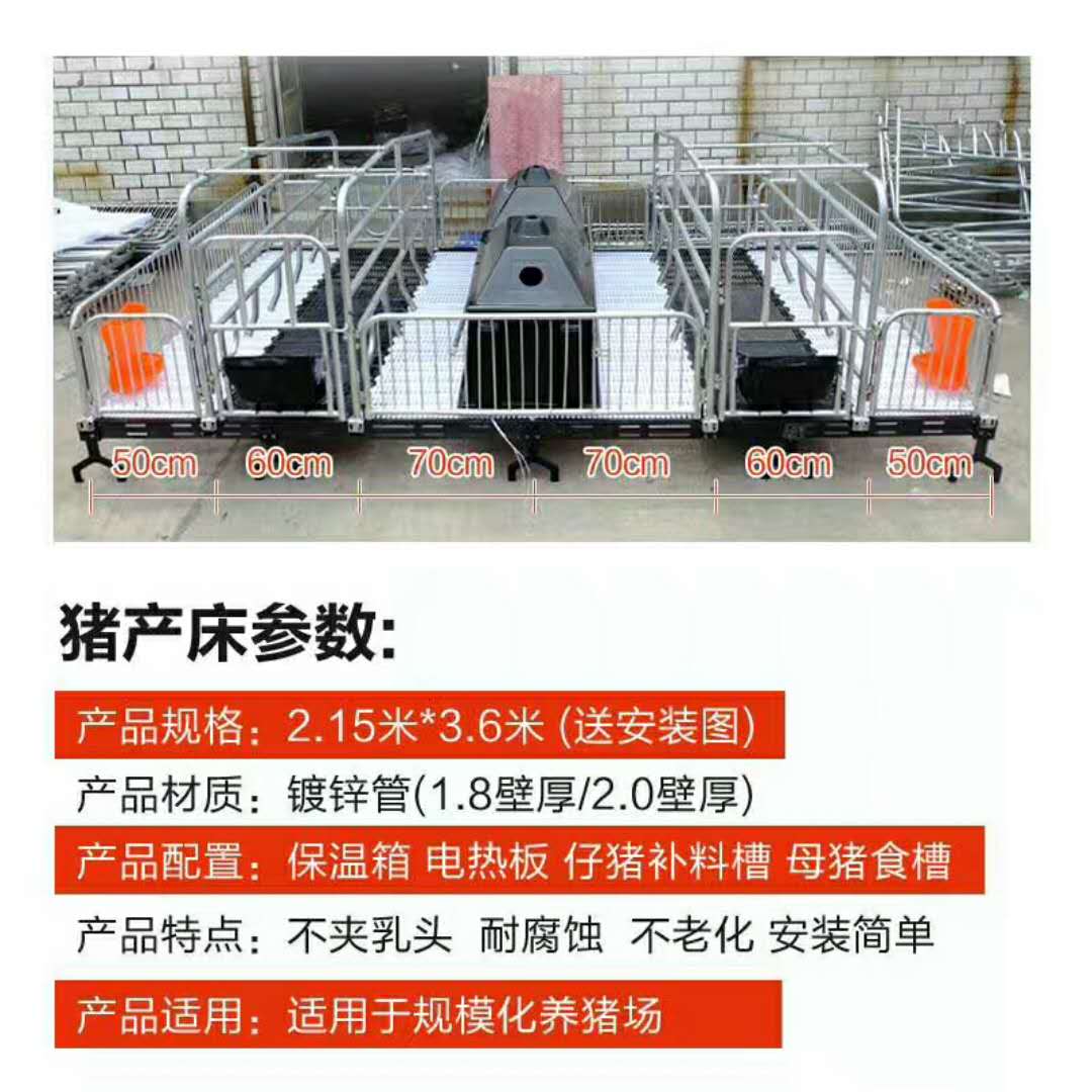 整體熱鍍鋅母豬加重雙體產床