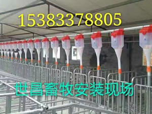 豬場(chǎng)自動(dòng)化上料系統(tǒng)