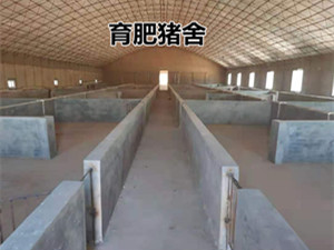 養(yǎng)殖場(chǎng)自動(dòng)化下料線